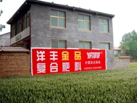 东至如何让墙体广告展现最大化效果