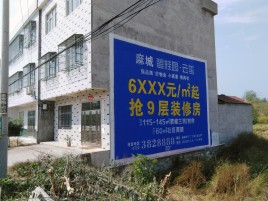 东至墙体广告质量分析