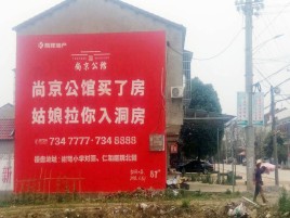 东至墙体广告在乡镇、农村市场的媒体优势