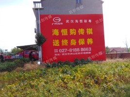 东至农村墙体广告给农村人民带来方便