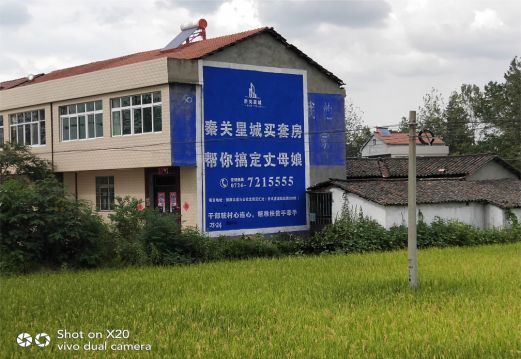 东至决定墙体广告价格的因素有哪些？