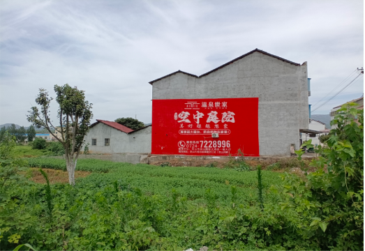 东至做墙体广告的意义