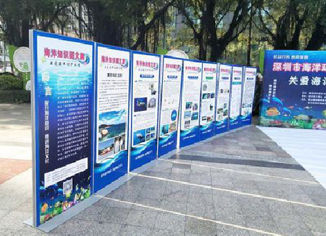 东至KT板的种类和知识。